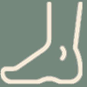 Ankle & foot